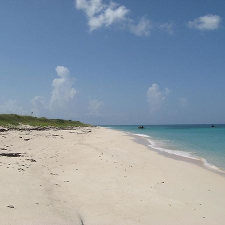Buttonwood Reserve Condominiums Eleuthera Zewnętrze zdjęcie